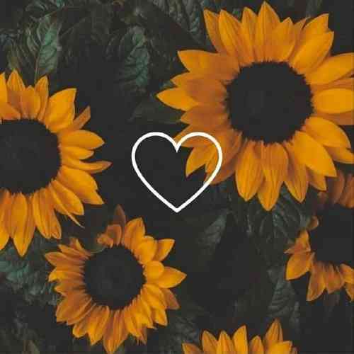 روژان محمودزاده دلم گیره و ای آسمان بوار باران ارای حالمان